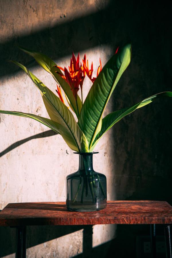 Taino Beach Lofts El Valle エクステリア 写真