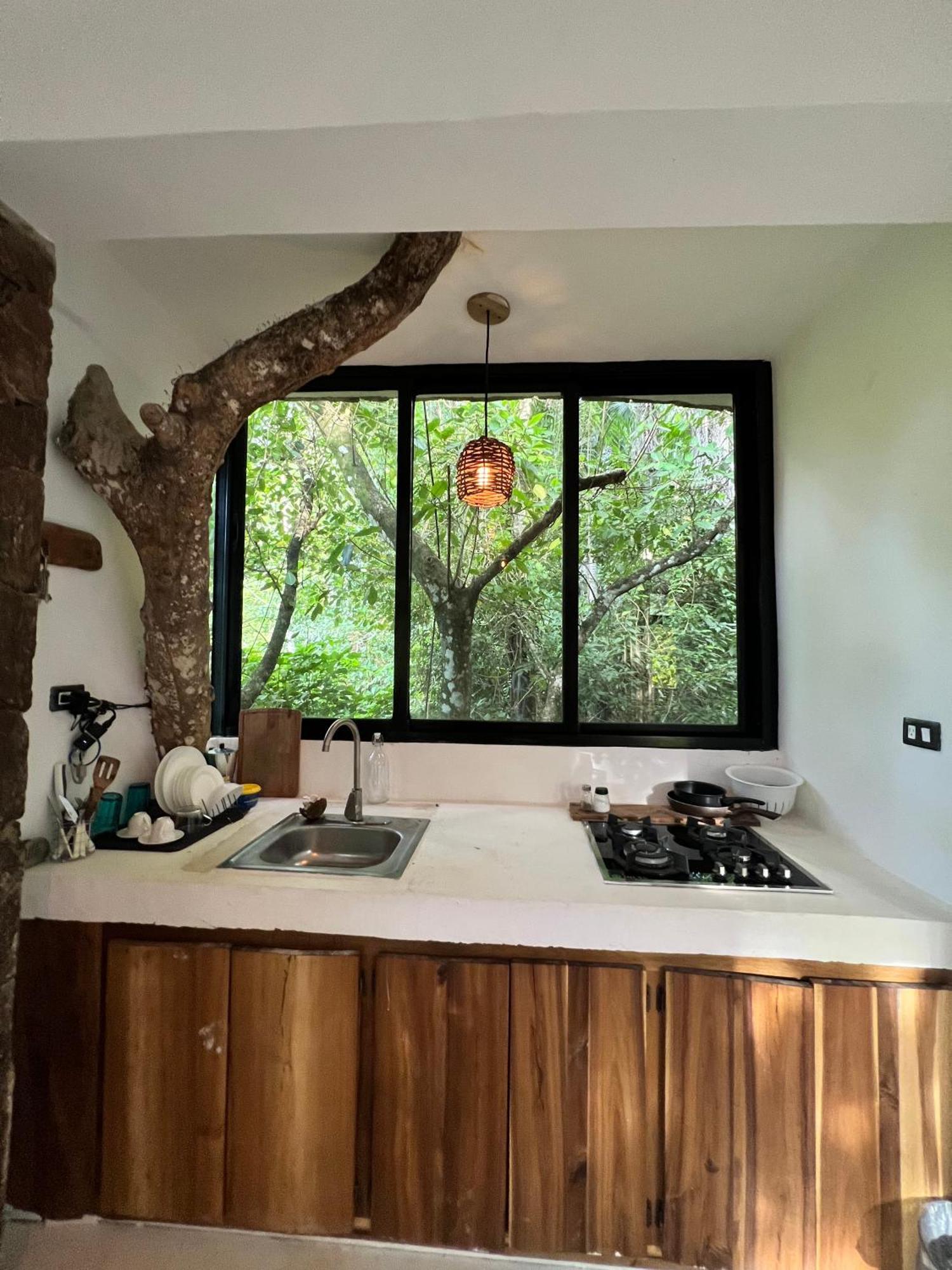 Taino Beach Lofts El Valle エクステリア 写真